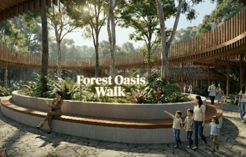 Forest 1 Forest 1